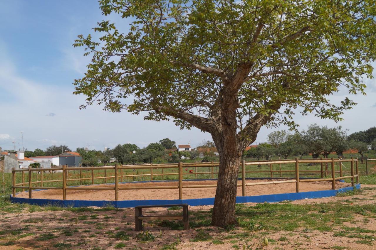 Tapada Do Chafariz Bed & Breakfast Естремос Екстериор снимка